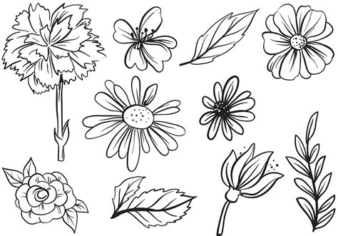 flowers vectors|free geographic flower vector.